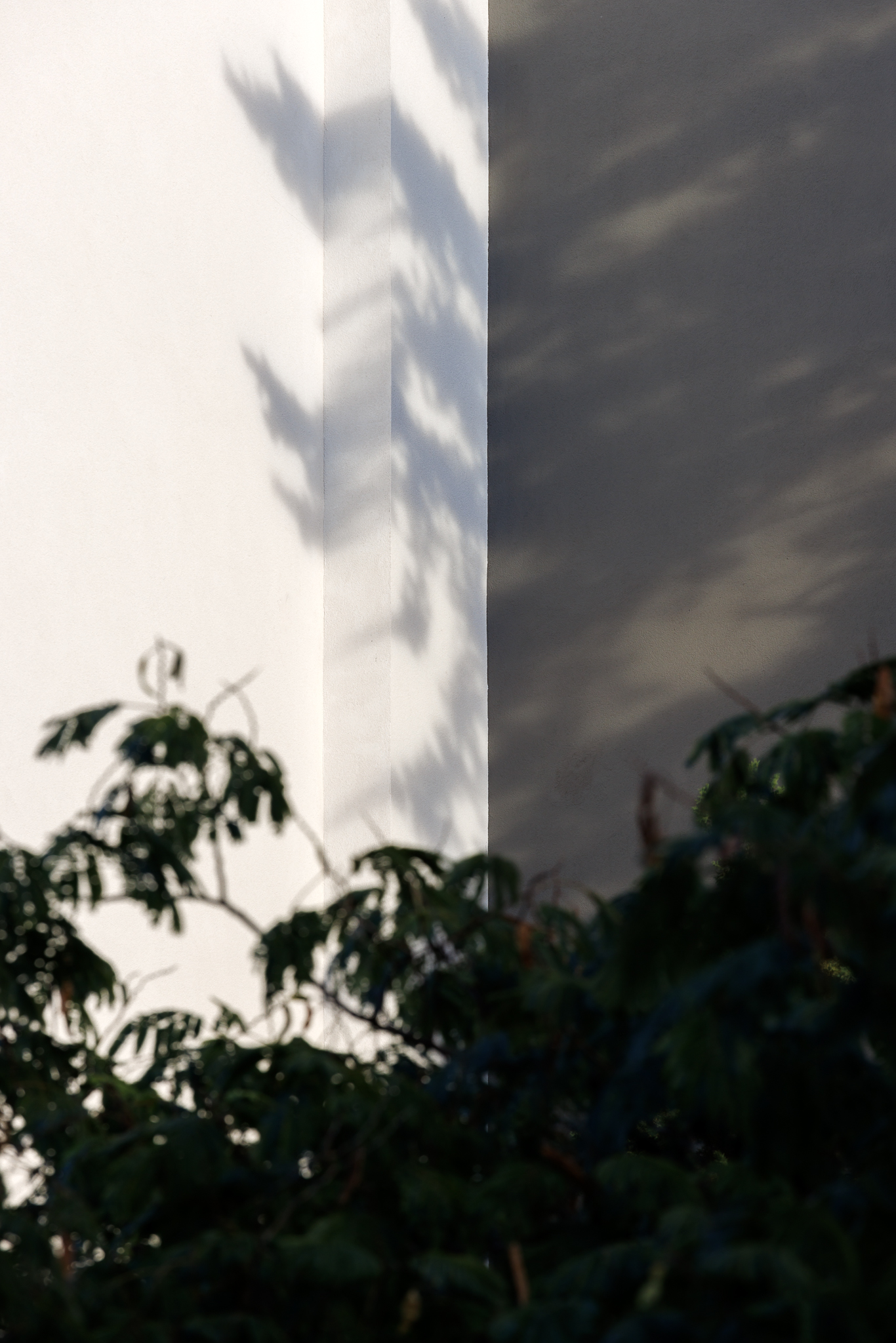 Project Alpha - Gallery Image 19