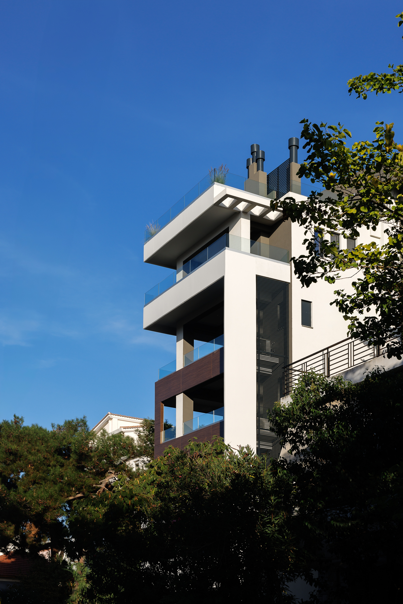 Image 22 Project Alpha