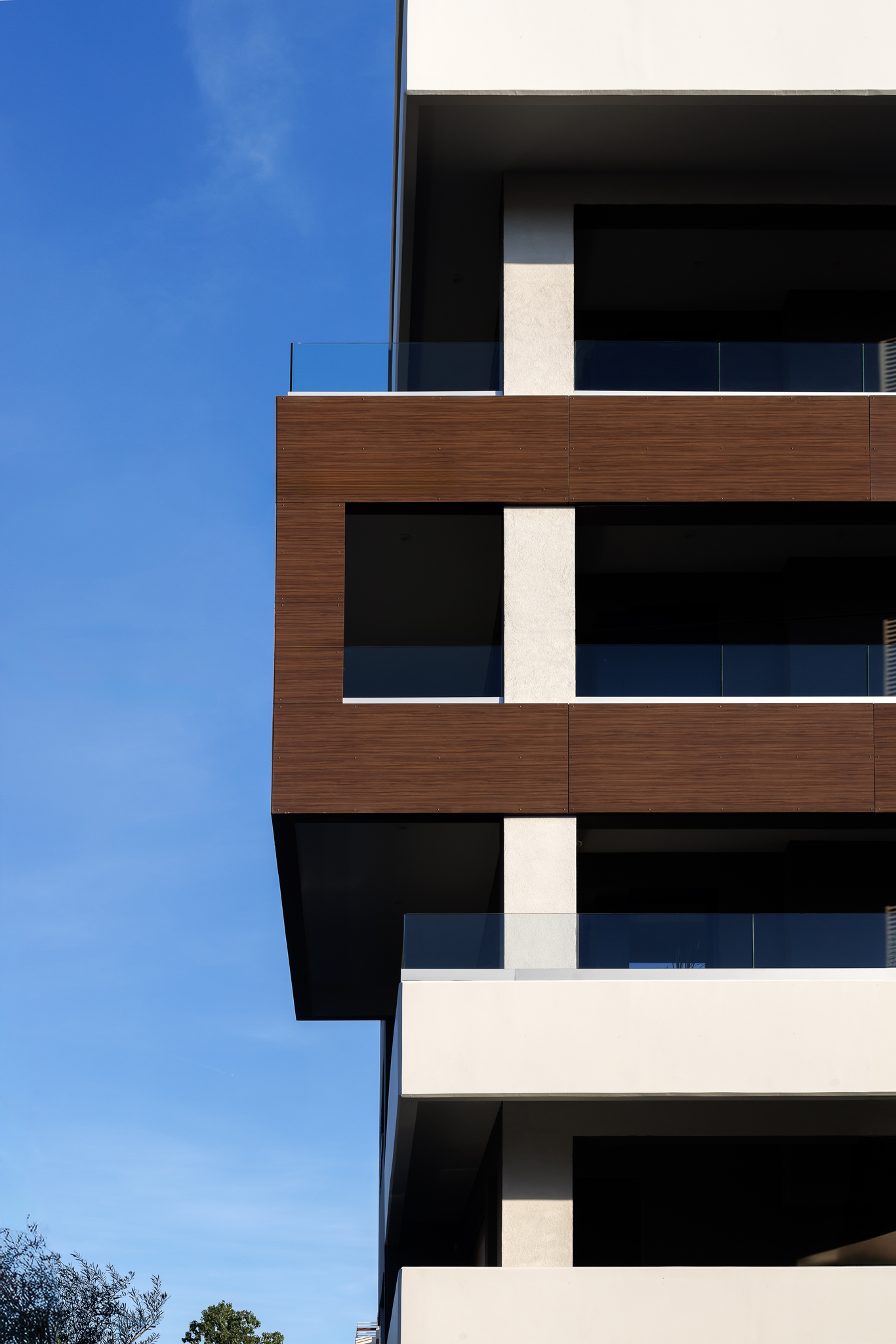 Image 15 Project Alpha