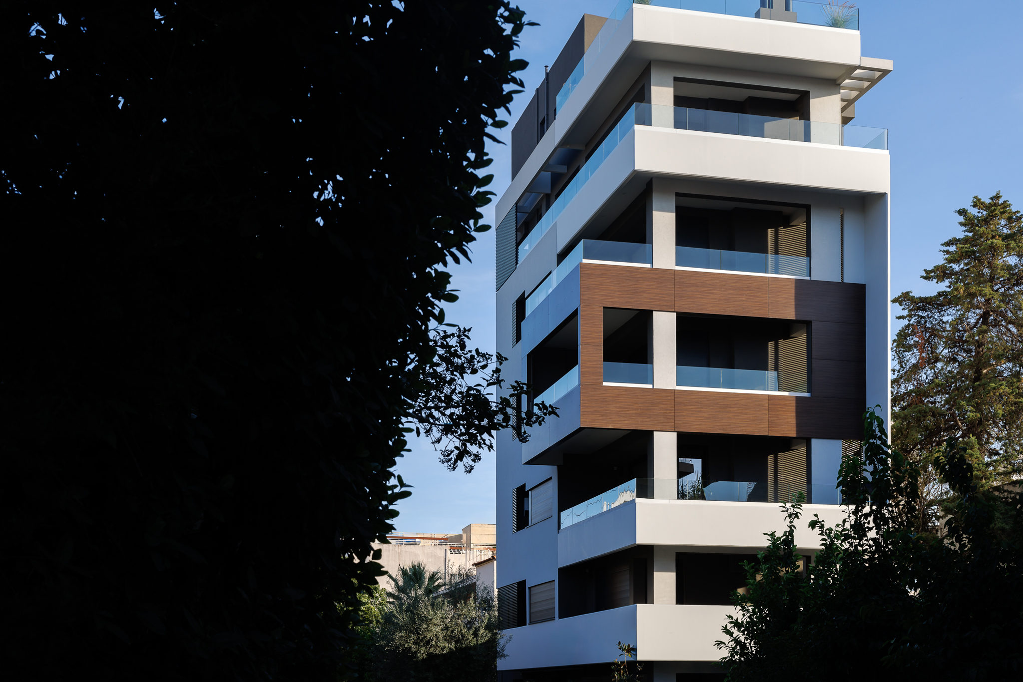 Image 5 Project Alpha