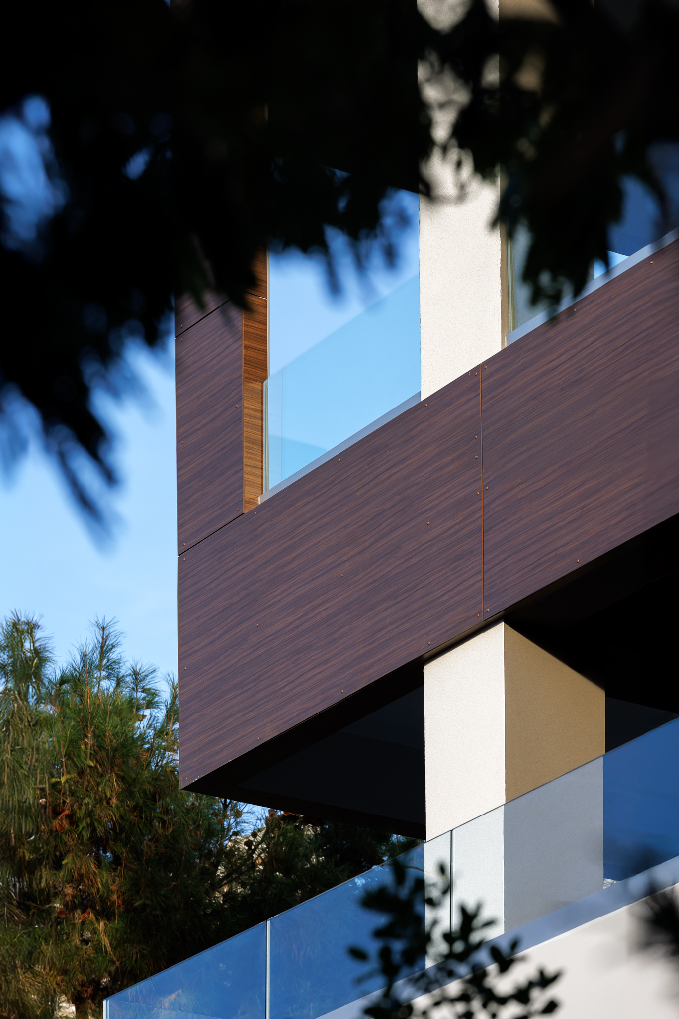 Image 6 Project Alpha