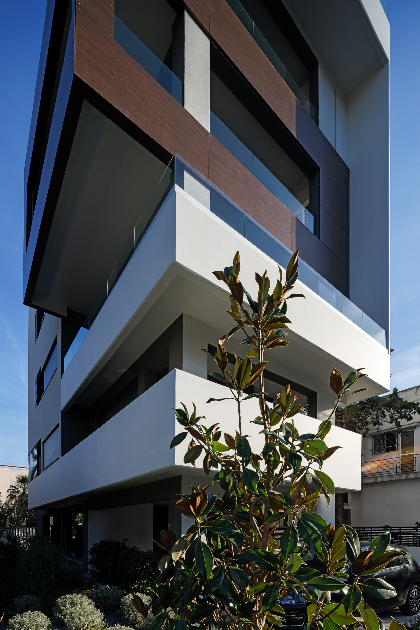 Image 16 Project Alpha