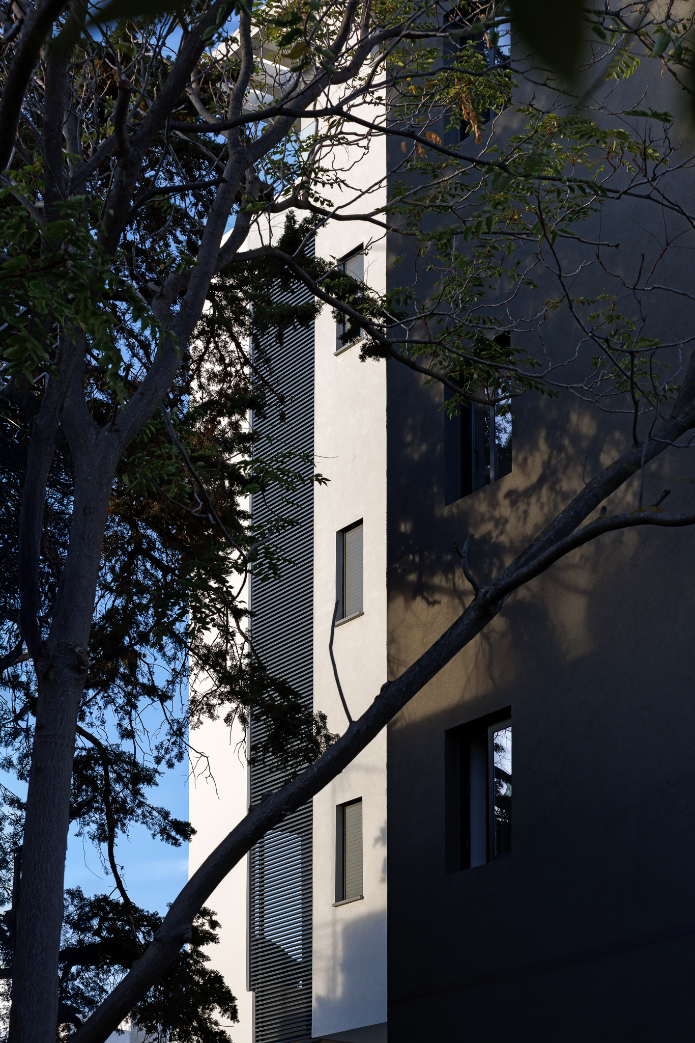 Image 14 Project Alpha